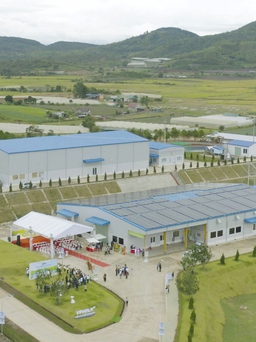 Lâm Đồng: Đưa nhà máy sữa công suất 20 triệu lít/năm đi vào hoạt động