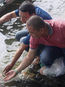 23 tháng chạp: Người dân TP.HCM đến chùa Diệu Pháp thả cá phóng sanh, cầu bình an