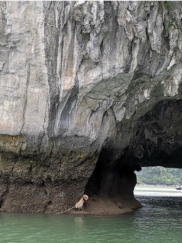 Lật đò nan trên vịnh Hạ Long, nữ du khách Hàn Quốc tử nạn