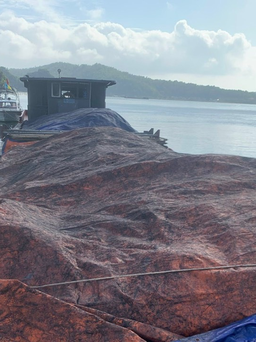 Quảng Ninh: Bắt giữ tàu vận chuyển 110 tấn than trái phép trên vịnh Bái Tử Long