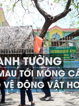 Vẽ tranh tường từ Cà Mau đến Móng Cái kêu gọi bảo vệ động vật hoang dã