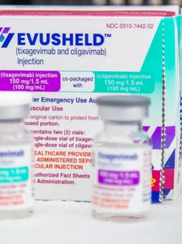 Bộ Y tế yêu cầu AstraZeneca Việt Nam báo cáo về thuốc Evusheld dự phòng mắc Covid-19