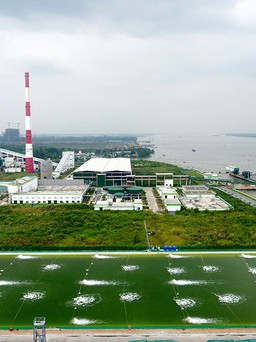 Phát triển xanh trở thành xu thế tất yếu toàn cầu