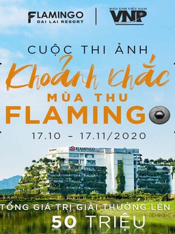 Cuộc thi ảnh Khoảnh khắc mùa thu Flamingo