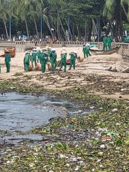 Vũng Tàu: Cả trăm tấn rác, lục bình ùn ùn dạt vào Bãi Trước