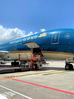 Vietnam Airlines mở bán đào, mai