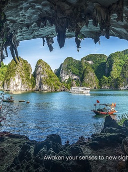 Khách quốc tế bất ngờ 'đua nhau' tìm kiếm thông tin du lịch Việt Nam