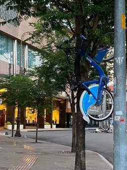 Xe đạp công cộng tại TP.HCM bị... treo ngược trên cành cây
