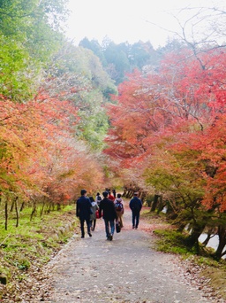 Nhật Bản sẽ tiếp tục nới visa, mở bung du lịch từ tháng 10