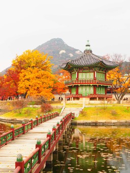 Tín đồ du lịch Đà Lạt, Cần Thơ có thể bay thẳng Seoul chỉ với 280.000 đồng