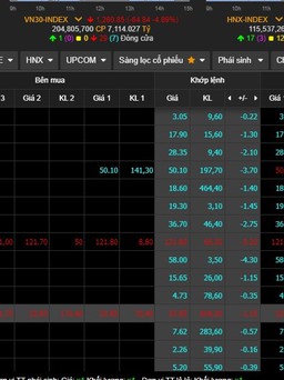 Cổ phiếu bị bán tháo, hơn 220 mã rớt sàn