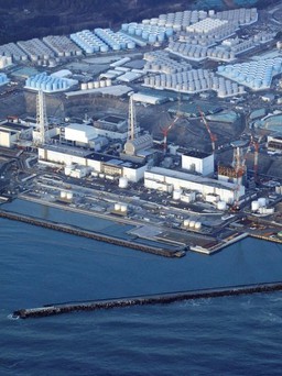 Tòa tuyên 4 cựu quản lý bồi thường 94,8 tỉ USD vì thảm họa hạt nhân Fukushima