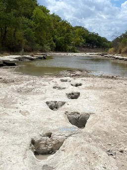 Dấu chân khủng long 113 triệu năm lộ ra giữa sông vì hạn hán ở Mỹ