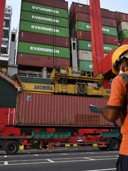 Sri Lanka trả Anh 242 container rác thải có chứa bộ phận cơ thể người