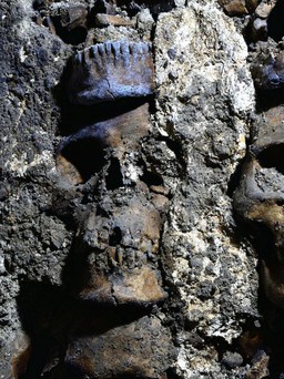 Bí ẩn 119 sọ người thuộc nền văn minh Aztec ngay dưới thủ đô Mexico