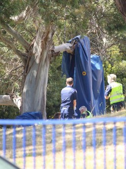Úc: Gió thổi tung nhà hơi lên cao, 4 trẻ em rơi xuống thiệt mạng