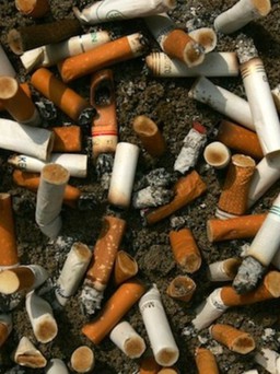 WHO: ném một cán thuốc lá là đưa 7.000 hóa chất độc hại vào môi trường