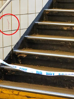 Thiếu niên 14 tuổi bị đâm chết tại ga tàu điện ngầm New York