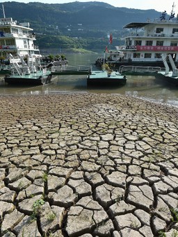 Mùa hè nóng kỷ lục, một nửa diện tích Trung Quốc bị hạn hán