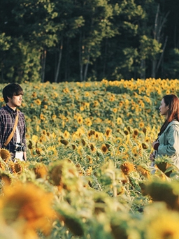 'Nhắm mắt thấy mùa hè' tranh giải tại Liên hoan phim quốc tế Hà Nội