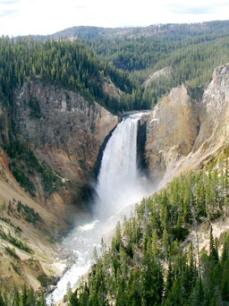 Kỳ vĩ và nên thơ rừng quốc gia Yellowstone