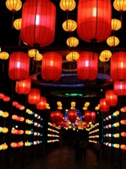 Lễ hội đèn lồng khổng lồ Việt - Hàn