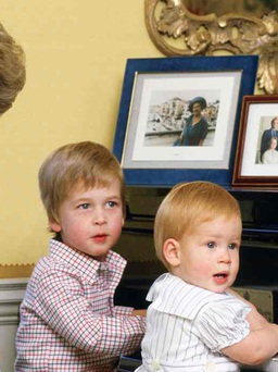 Hoàng tử William và Harry dựng tượng mẹ Diana