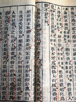 Phát hiện kho tư liệu Hán - Nôm cổ quý hiếm