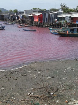 Nước hồ xả thải hóa màu tím, nhiều hộ nuôi cá lồng bè lo sợ