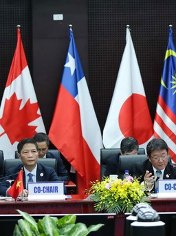 Đạt được thỏa thuận về TPP-11