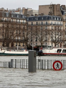 Paris cảnh báo ngập lụt vì sông Seine dâng nước