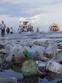 EU sẽ cấm đồ nhựa sử dụng một lần