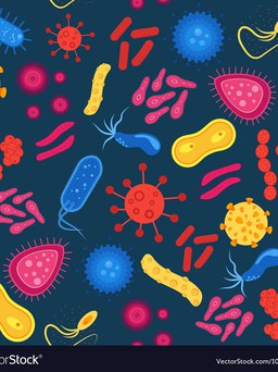 Vi khuẩn có thể di chuyển hàng ngàn dặm, bạn có biết không?