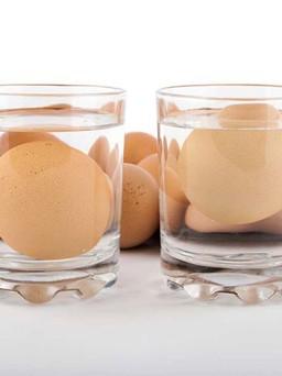5 tuyệt chiêu bảo quản trứng bạn cần biết
