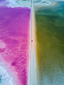 Bí ẩn chuyện hồ nước mang sắc hồng Hutt Lagoon