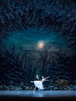 Nhà hát nổi tiếng của Nga giới thiệu vở ballet Giselle tại Việt Nam