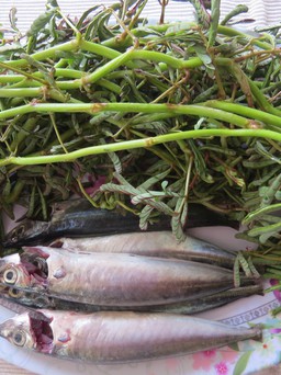 Đậm đà cá nục rau nhút