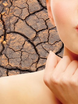 Mẹo đơn giản để biết bạn uống cà phê bao nhiêu là đủ