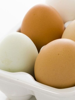 12 điều thú vị về trứng mà bạn có thể chưa biết hết