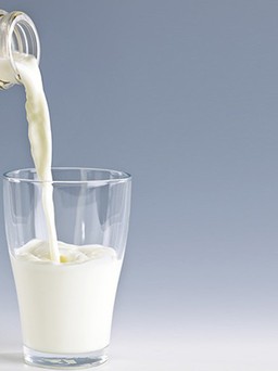 Đun sôi có ảnh hưởng chất lượng sữa tươi?
