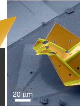Robot nano tự gập thành chim origami nhỏ nhất thế giới