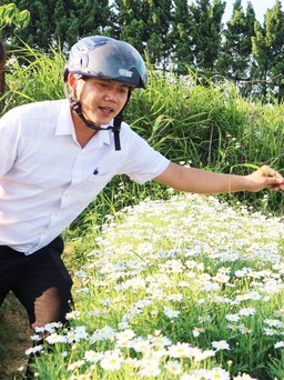 Chàng trai trồng hoa phục vụ 'sống ảo' thu tiền triệu mỗi ngày