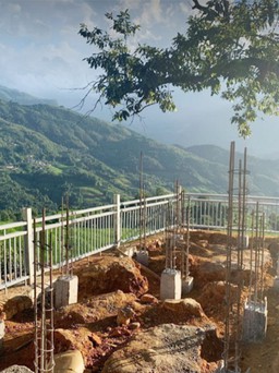 Lào Cai dừng công trình 'giam' 2 cây cổ thụ ở Y Tý