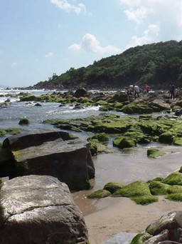 Đà Nẵng chi gần 94 tỉ đồng xây dựng 4 công viên biển