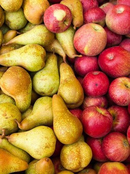 Những loại trái cây giúp giảm cholesterol của bạn