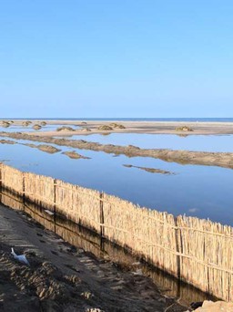 Ai Cập dựng hàng rào cát ngăn lũ từ biển