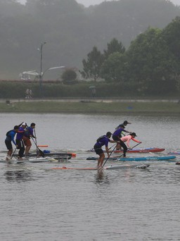 Nhiều hoạt động hưởng ứng Festival Hoa Đà Lạt 2022