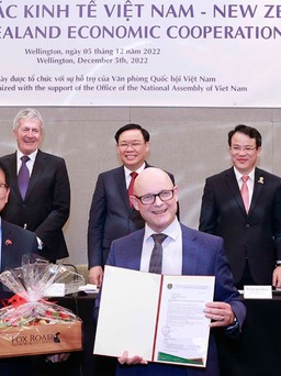 Nhiều cơ hội tăng cường hợp tác Việt Nam - New Zealand