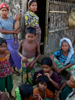 Myanmar bác bỏ việc Đại học Yale tố 'diệt chủng người Rohingya'