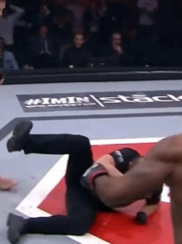 Trọng tài bị knock-out với cú đấm móc cực mạnh của võ sĩ MMA